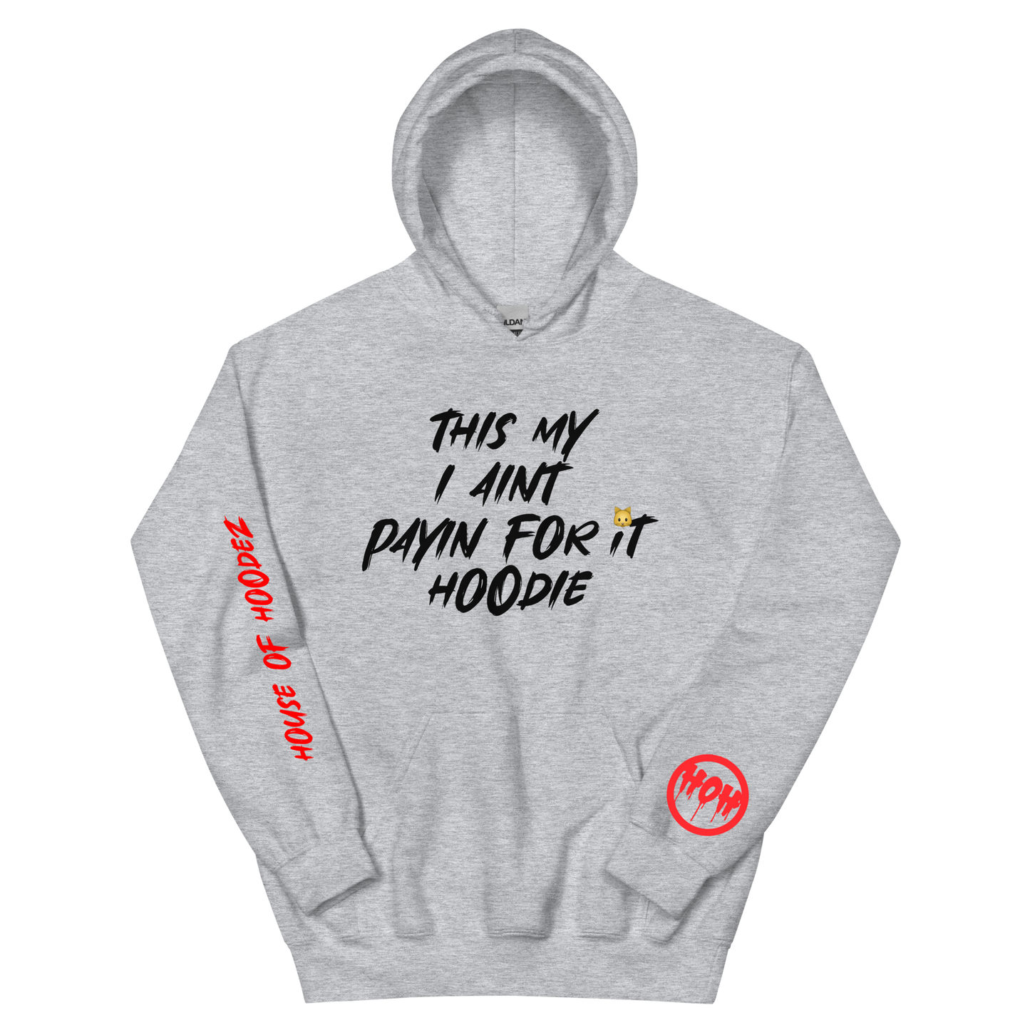 My I Aint Payn Hoodie