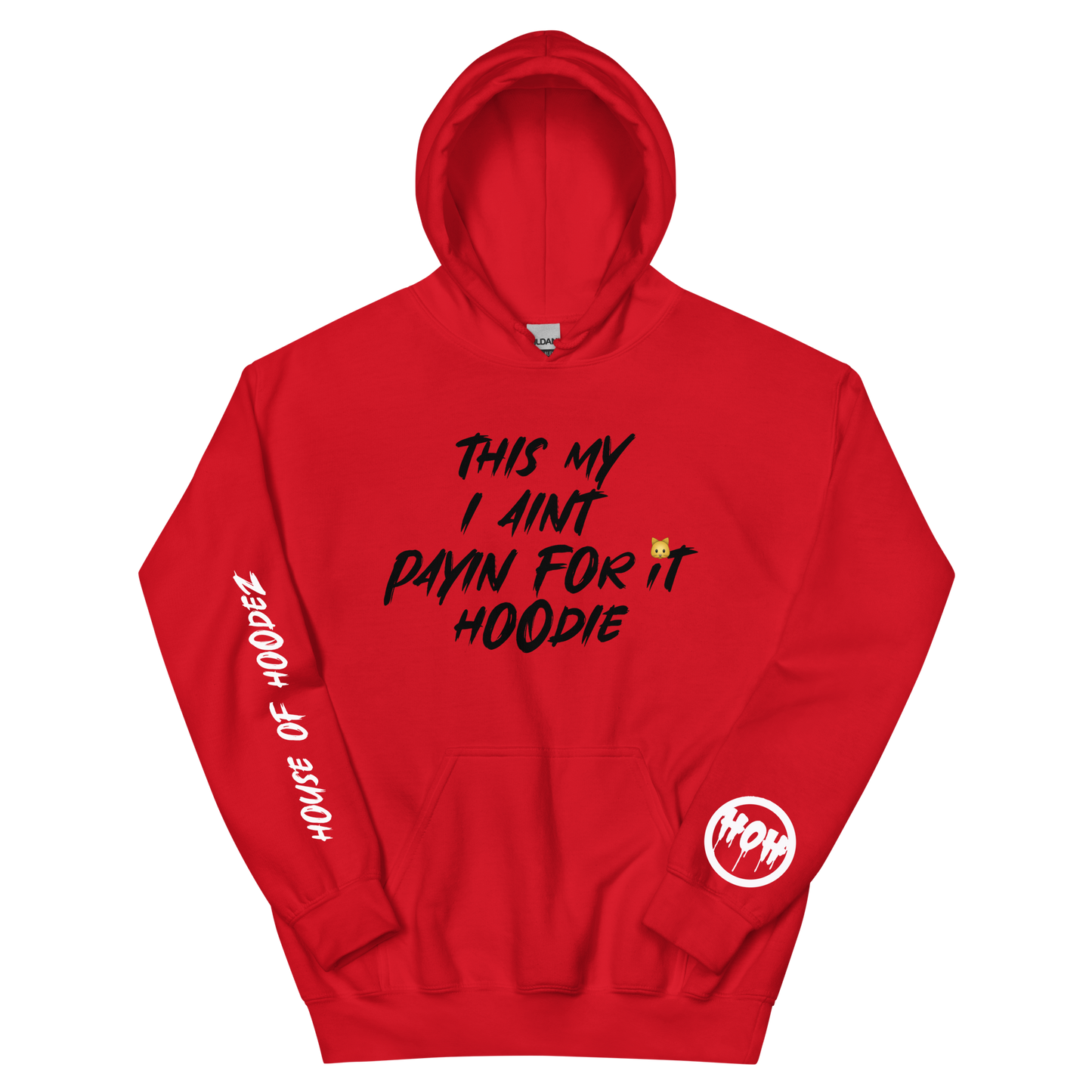 My I Aint Payn Hoodie