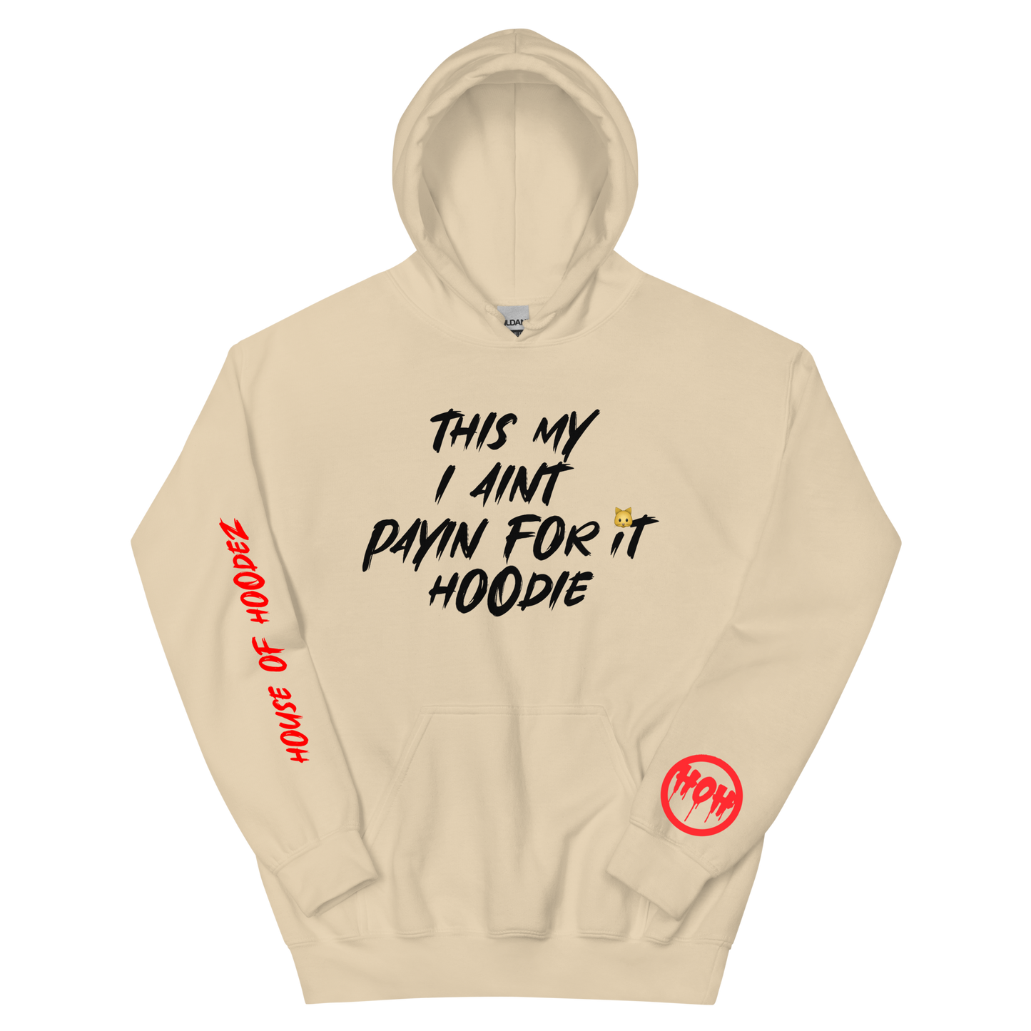 My I Aint Payn Hoodie