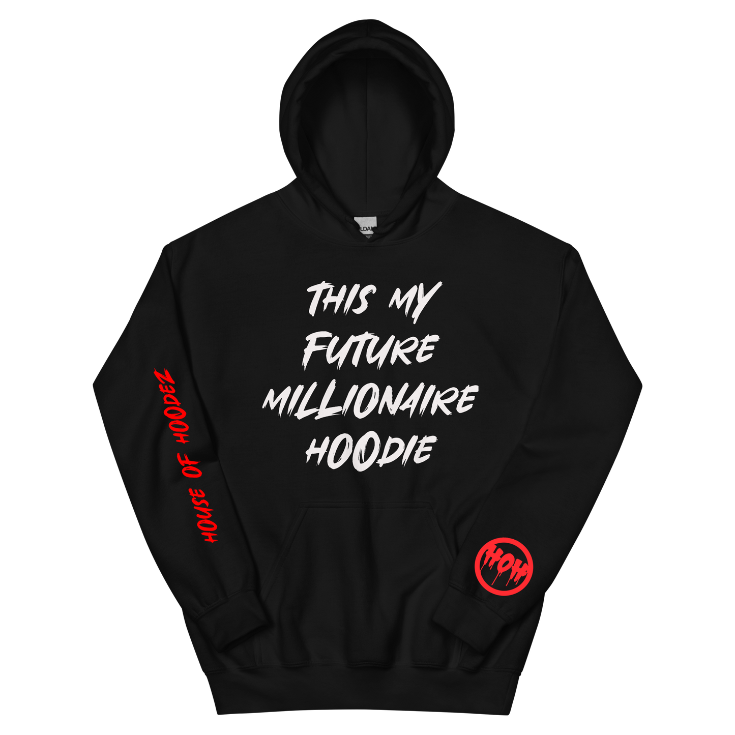 My Future Millionaire Hoodie