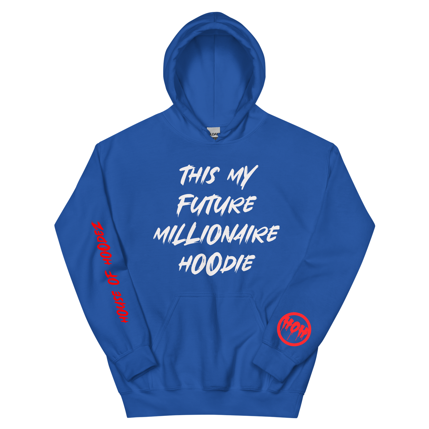 My Future Millionaire Hoodie